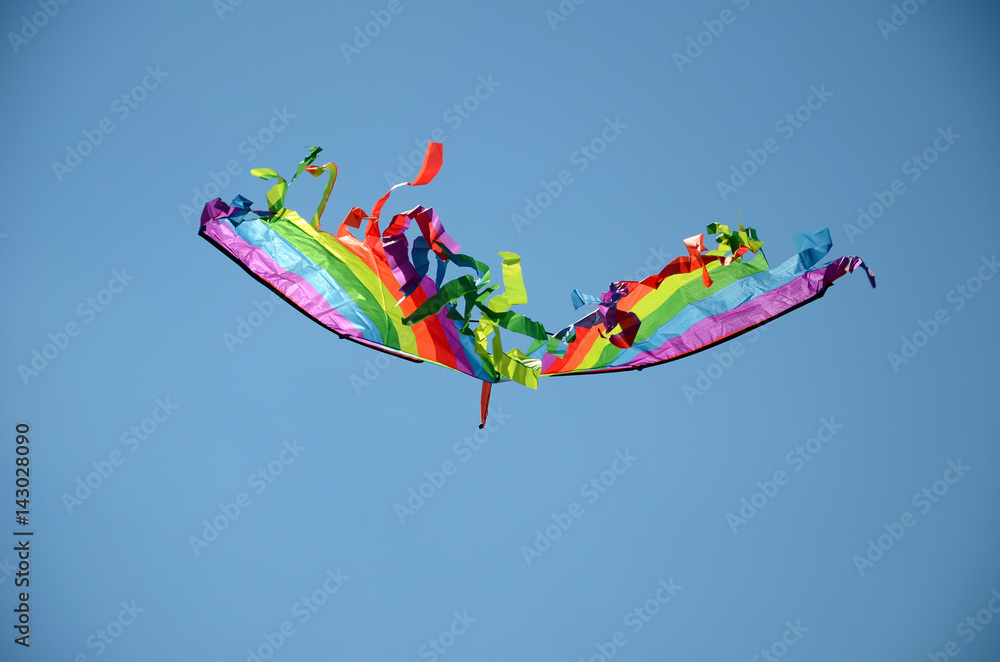 Kite in the sky