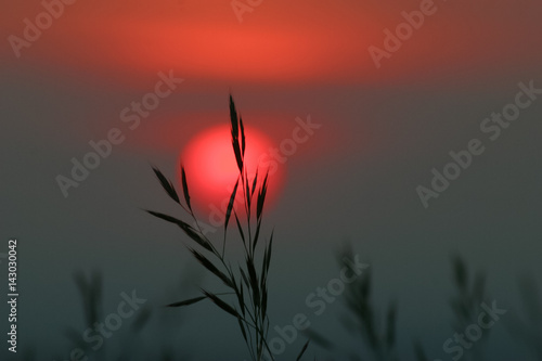 calm mood with red sunset, detail photo