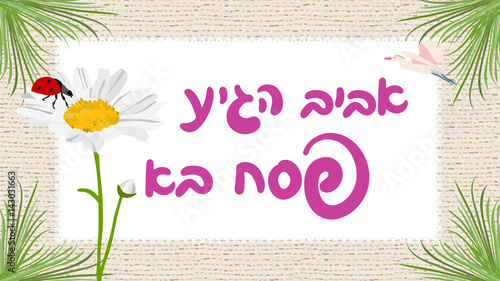 spring is here, happy Passover greeting card with hebrew typography, vector daisy and ladybug, with matzo background