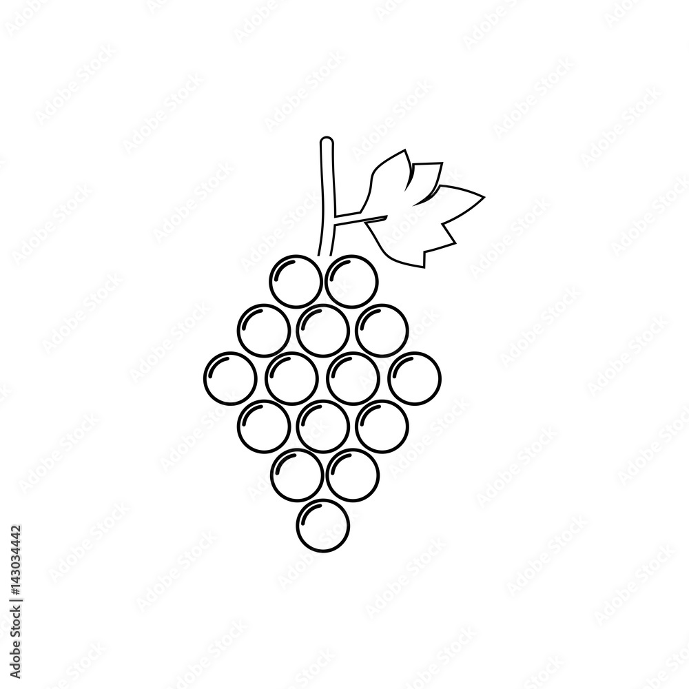 Grapes line icon vector Grapes line icon vector