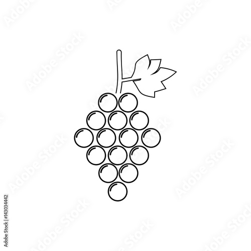 Grapes line icon vector
