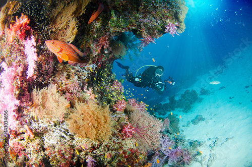 Fototapeta Naklejka Na Ścianę i Meble -  Wonderful and beautiful underwater world with corals, fish, scuba diver and sunlight