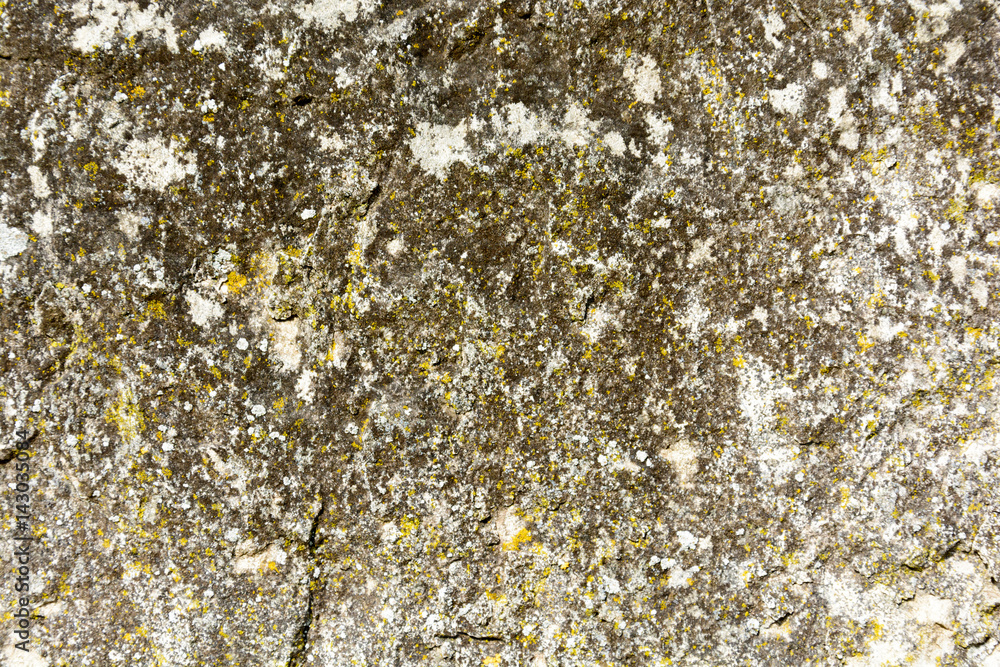 A background of the texture natural rock A background of the texture natural rock