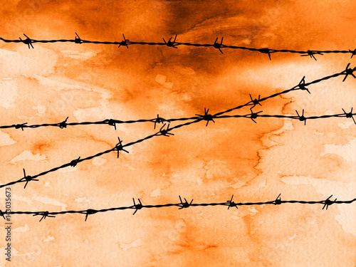 Photography Barbed Wire