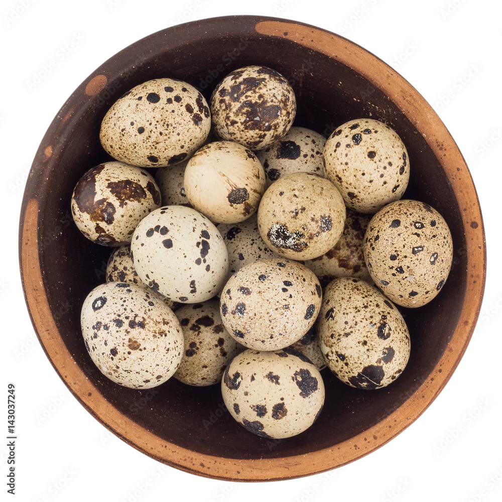 Fresh quail egg in bowl. isolated on white background. Fresh quail egg in bowl. isolated on white background.