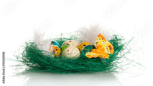 Easter eggs and feathers in nest, butterfly, isolated on white.