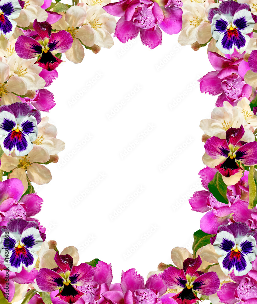 Bright and colorful flowers of apple and peony. Bright and colorful flowers of apple and peony.