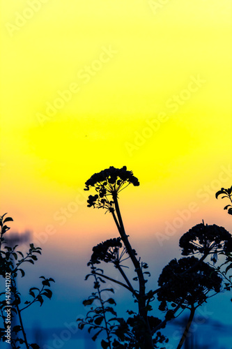 murgia national park , Puglia (Italy)