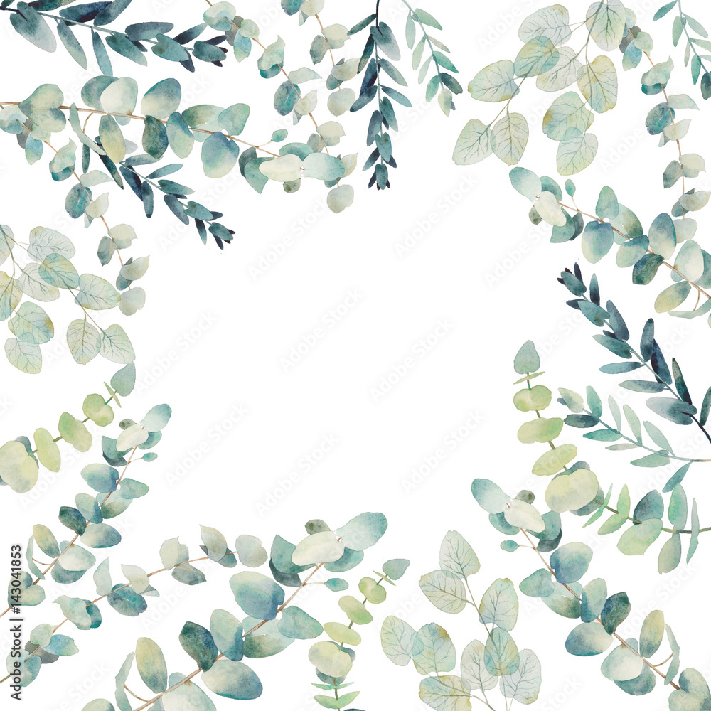 Watercolor eucalyptus card design. Hand painted floral round frame isolated on white background.