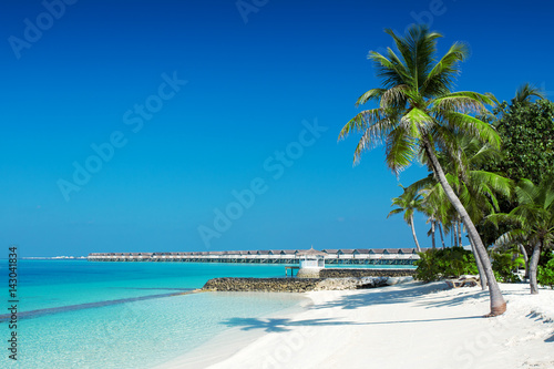 Fototapeta Naklejka Na Ścianę i Meble -  Beautiful nature landscape of tropical island at daytime, Maldives