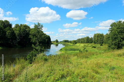 River bank with forest trees and water meadows around at sunny summer day. Beautiful and peaceful landscape.