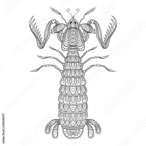 .Vector Decorative Monochrome Mantis Shrimp. Marine Creature Isolated On White Background. For Coloring Book