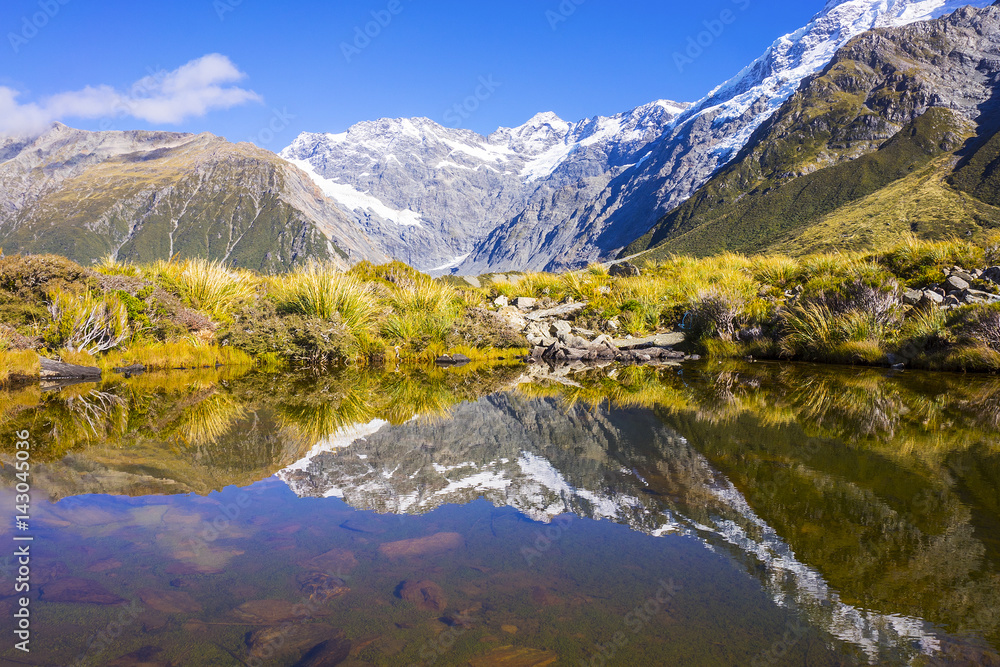 Mount Tasman Valleys , Aoraki Mt Cook national park Southern Alps mountain South Island New Zealand.