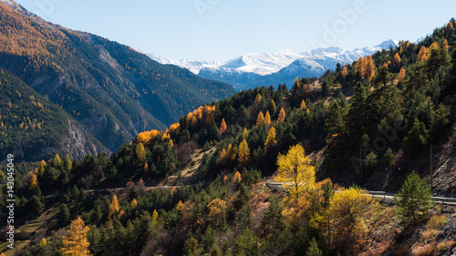 Alpes Fall Colors photo