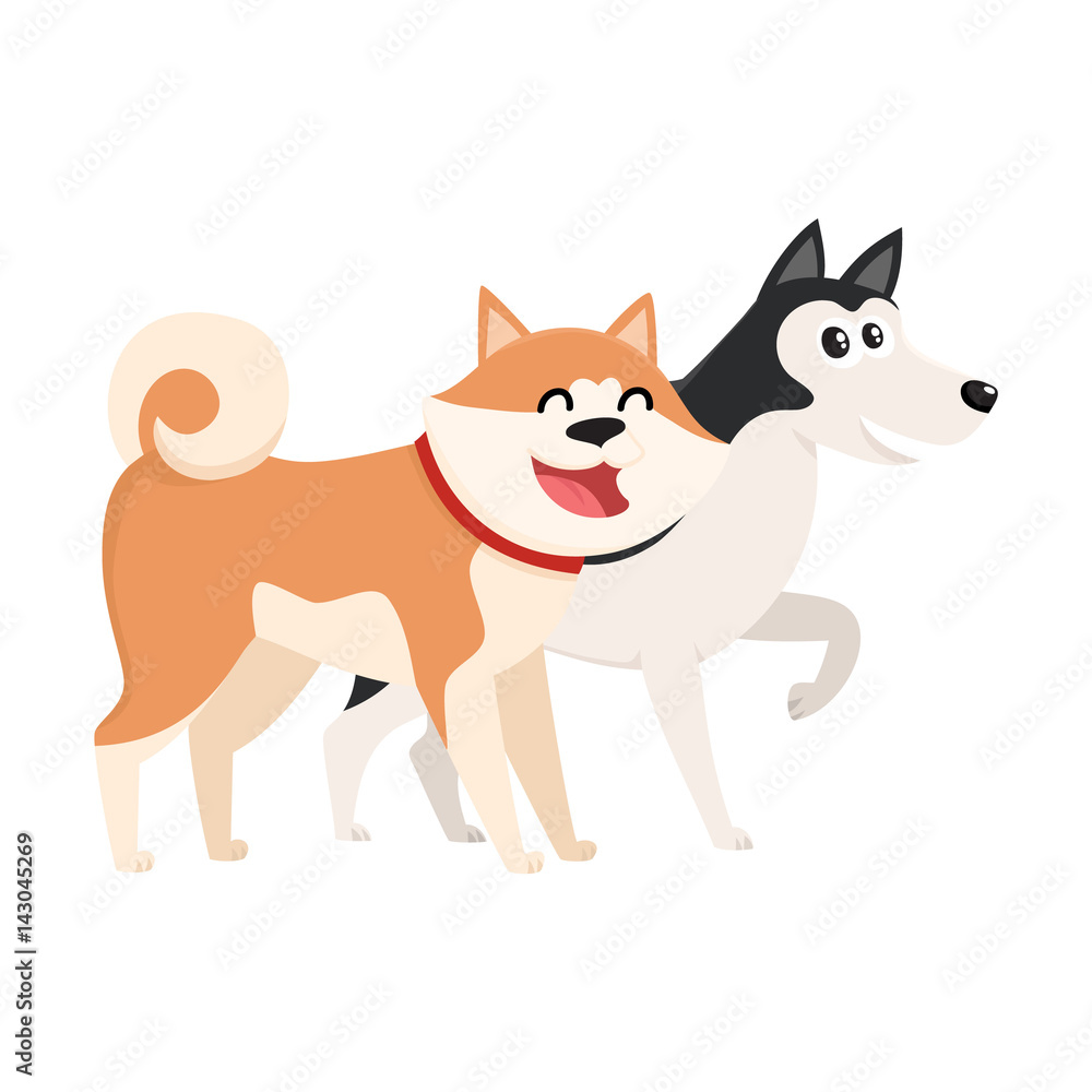 Couple of cute, funny dog characters - brown Japanese akita inu, black and  white husky, cartoon vector illustration isolated on white background.  Lovely husky and akita inu characters, dog breeds Stock Vector |