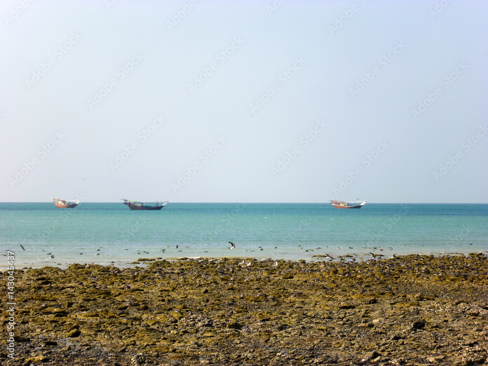Fishing boats in the sea