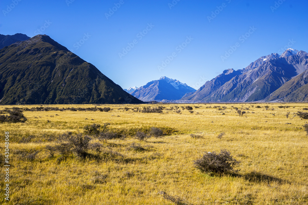 Mount Tasman Valleys , Aoraki Mt Cook national park Southern Alps mountain South Island New Zealand