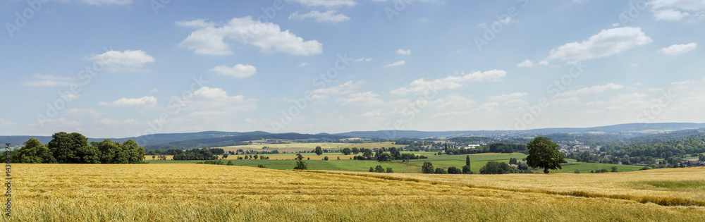 Panorama_Rodewisch