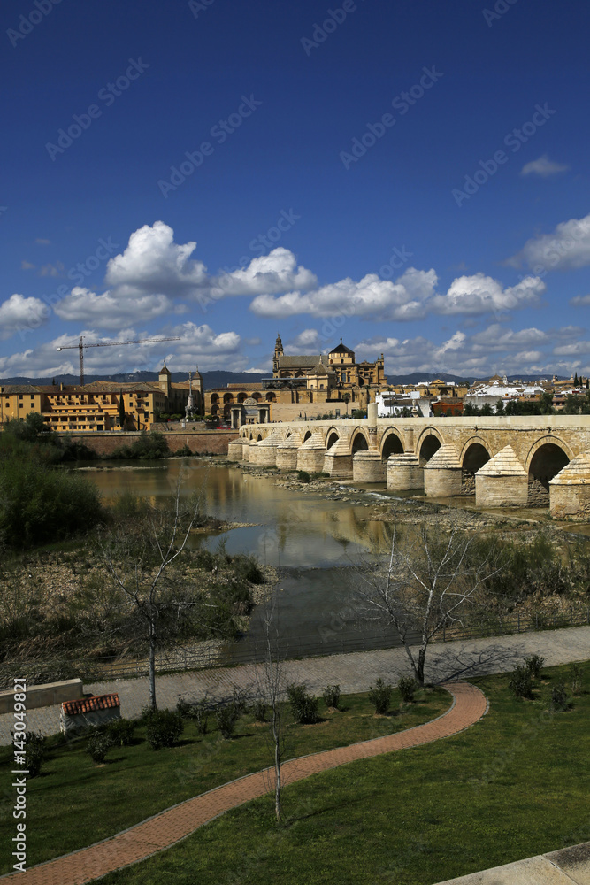 view of the Roman Bridge and Mosque-Cathedral on the Guadalquivir River, Cordoba, Spain