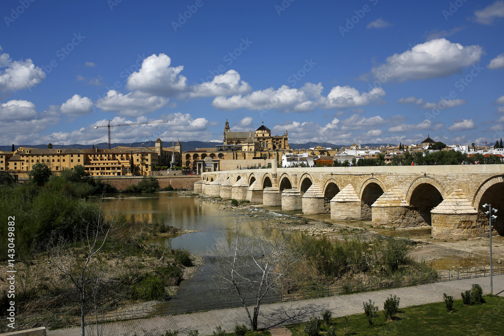 Fototapeta premium view of the Roman Bridge and Mosque-Cathedral on the Guadalquivir River, Cordoba, Spain
