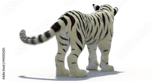Cartoon Tiger White  3D 