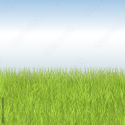 Summer field with fresh green grass and blue sky. Natural vector background