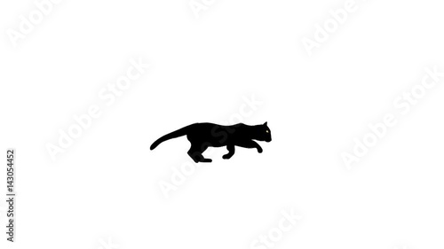 Running and jumping black cat silhouette, side view, loop animation 