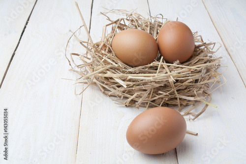 egg in nest on dark vintage wooden