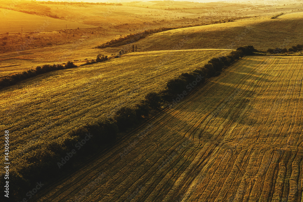 Fototapeta premium Plowed field at sunset view from above