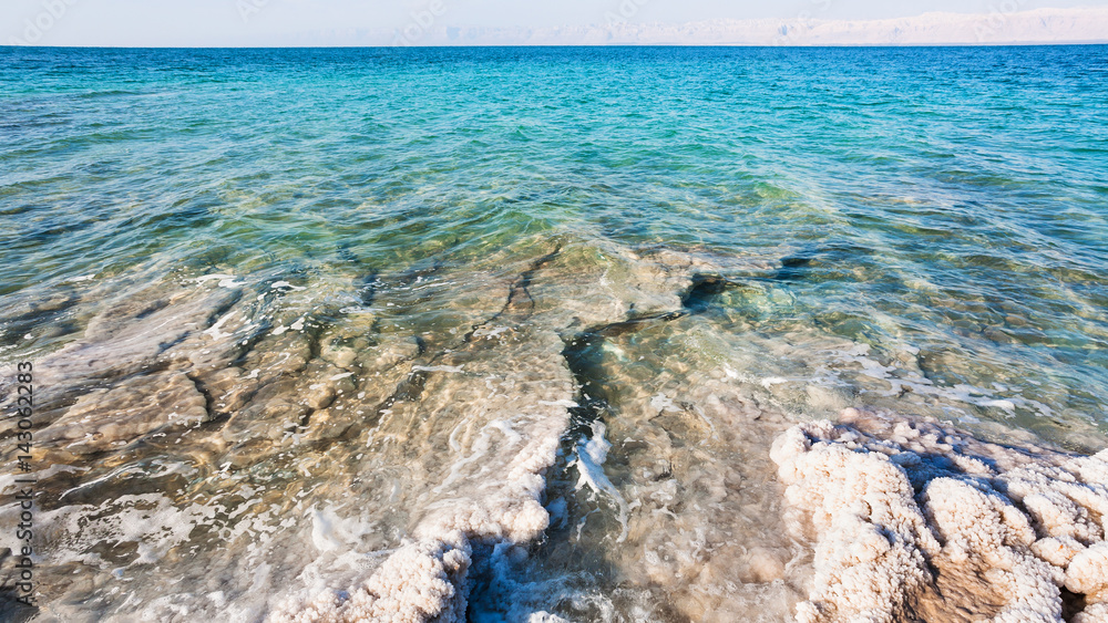 Obraz premium coast of Dead Sea in sunny winter day
