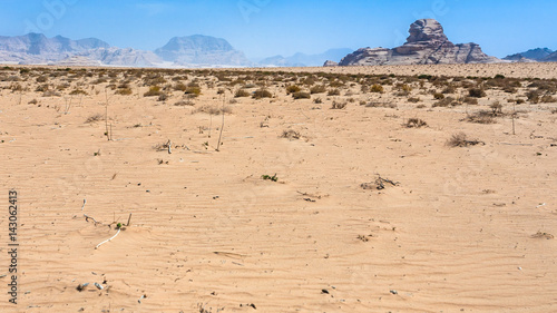 Sphinx rock in Wadi Rum desert