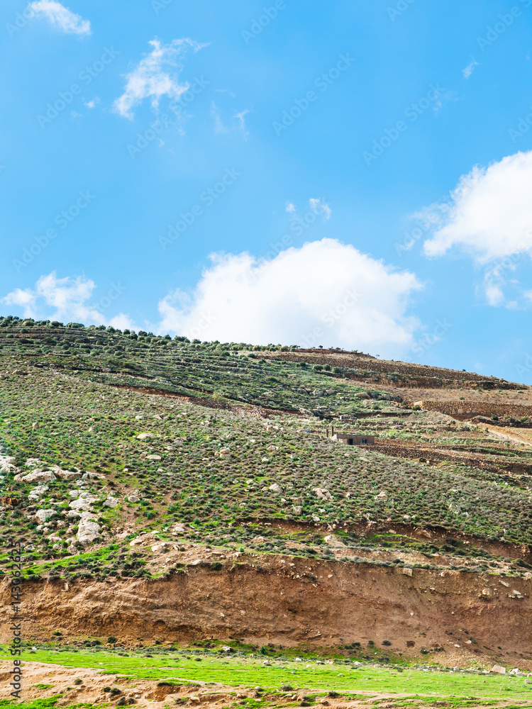 hill slope with terraced gardens in Jordan