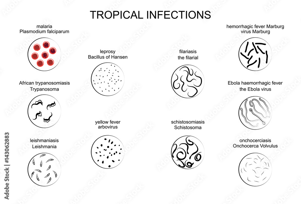 the pathogens of tropical infections