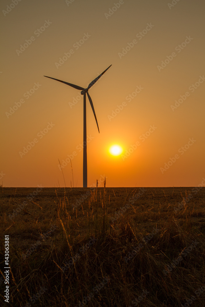 Obraz premium Windrad mit Sonnenuntergang
