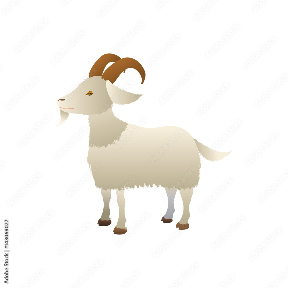 Goat farm animal vector illustration graphic design Goat farm animal vector illustration graphic design