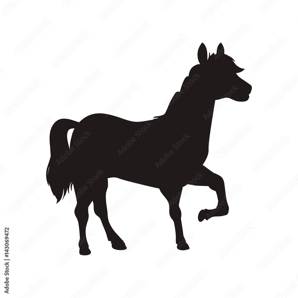 Horse farm animal vector illustration graphic design