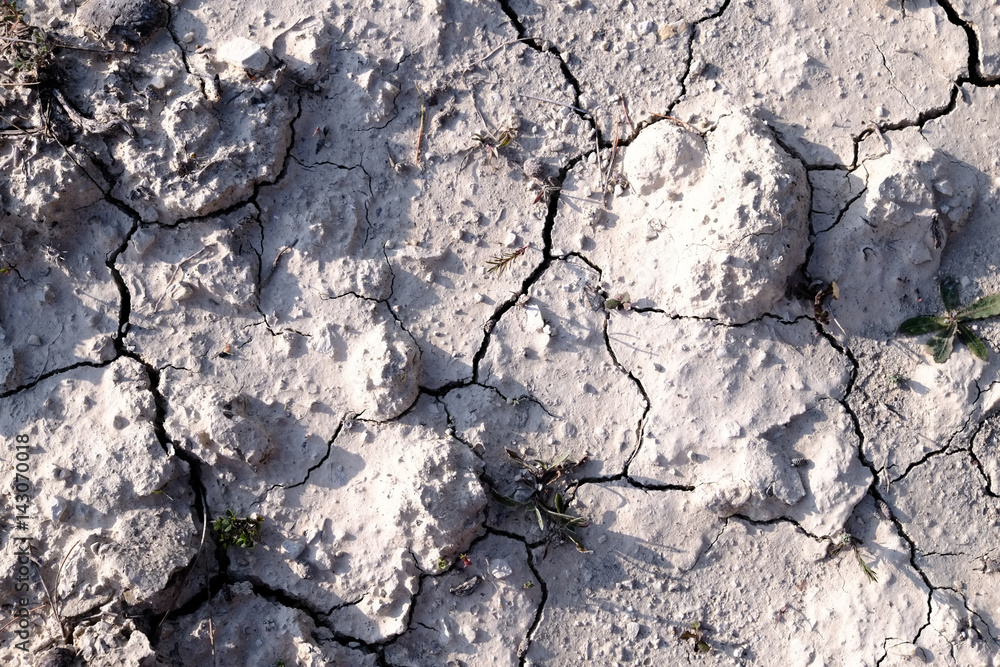 Fototapeta premium Soil drought dry earth cracked texture ground -2