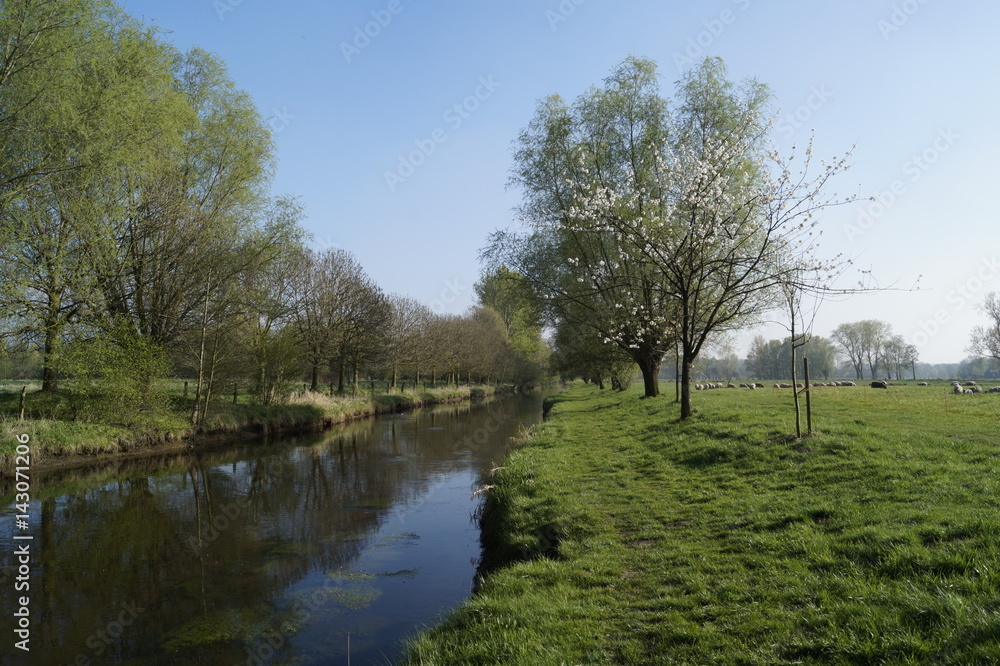 Die Niers bei Grefrath Oedt am Niederrhein im Frühling Die Niers bei Grefrath Oedt am Niederrhein im Frühling