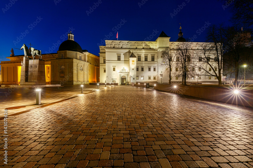 Vilnius. Cathedral of St. Stanislaus in the central square.