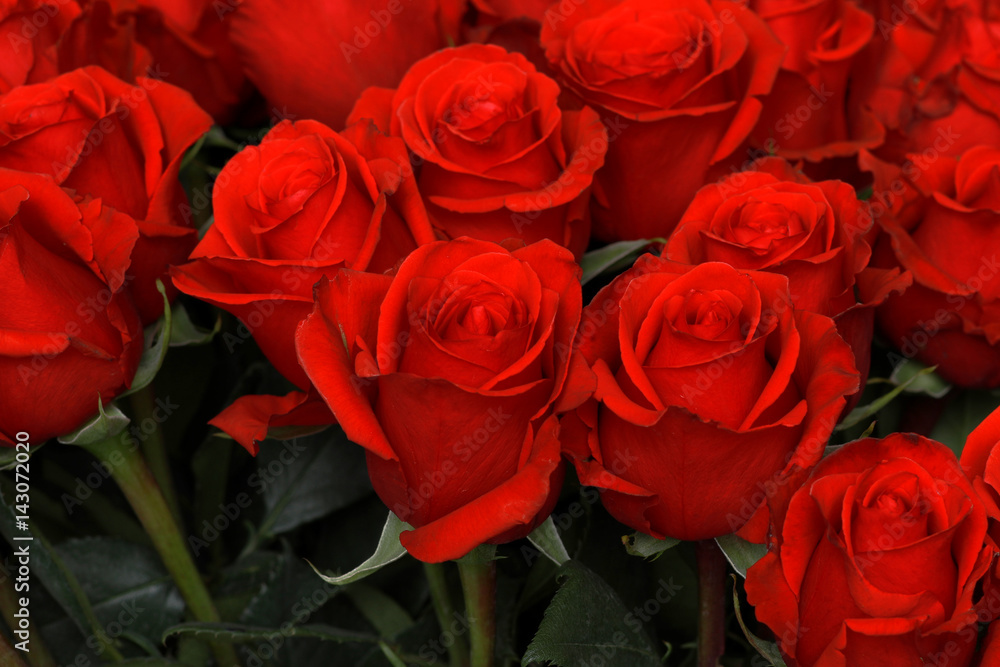 Large beautiful bouquet of red roses closeup