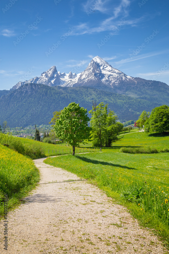 Hiking trail in the Alps with blooming meadows in springtime