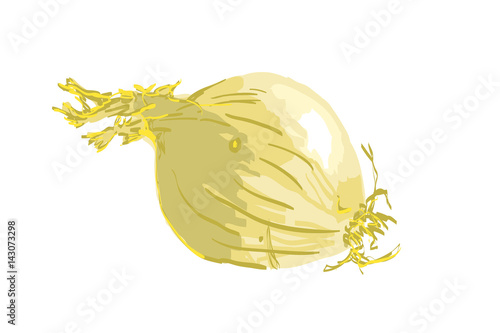 onion vector - yellow with skin