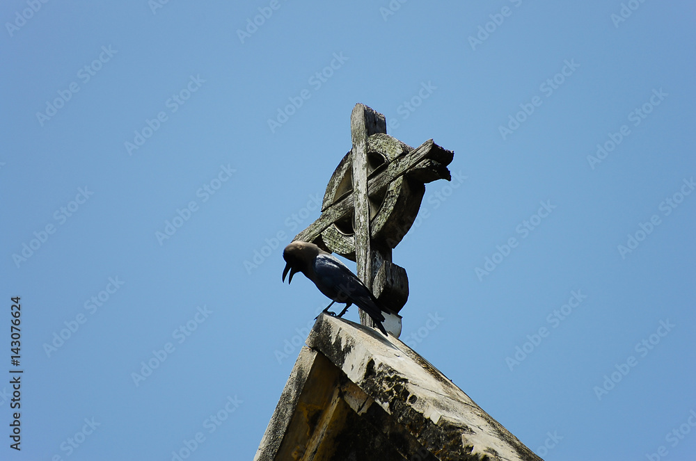 Raven on Christ Church Cross - Zanzibar - Tanzania