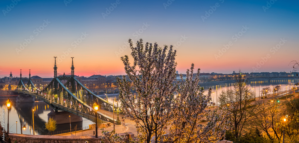 Budapest, Hungary - Panoramic skyline view of Budapest at spring time shot from Gellert hill with cherry blossom tree and liberty bridge at sunrise
