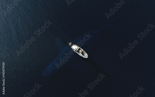 Fish boat floats near big whale in blue ocean