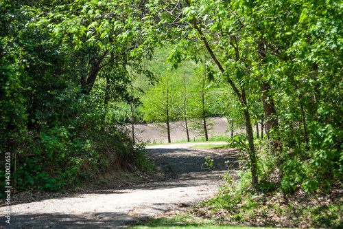 A trail in Buffalo Bayou Park