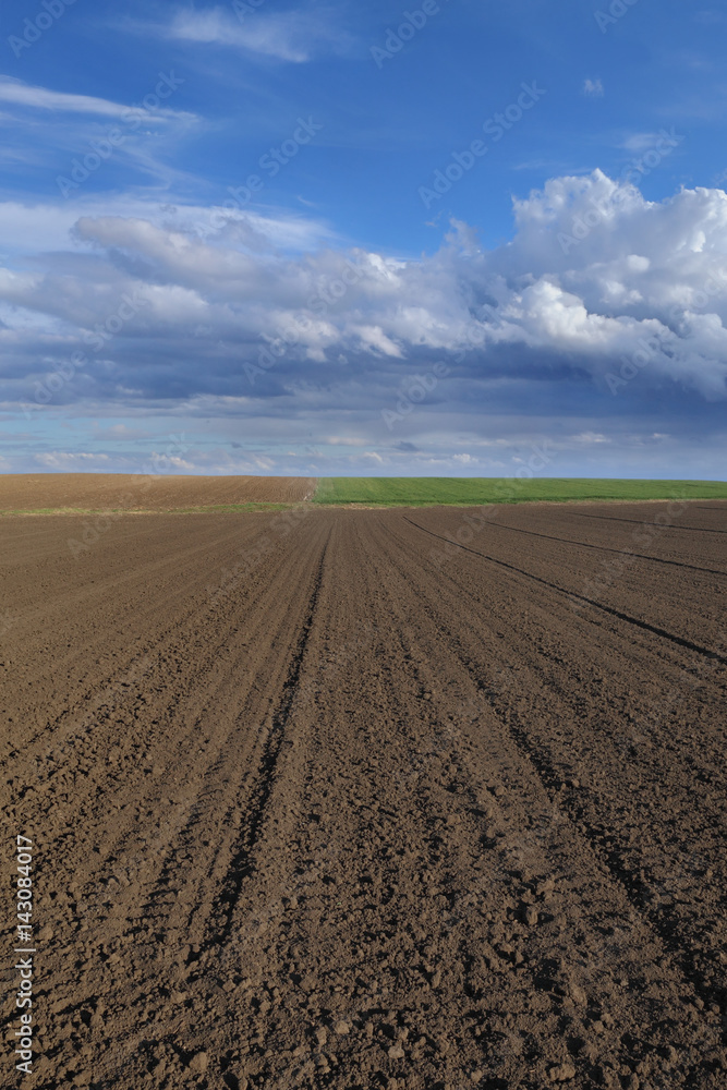 Agriculture, cultivated field in spring, ground and sky with clouds Agriculture, cultivated field in spring, ground and sky with clouds