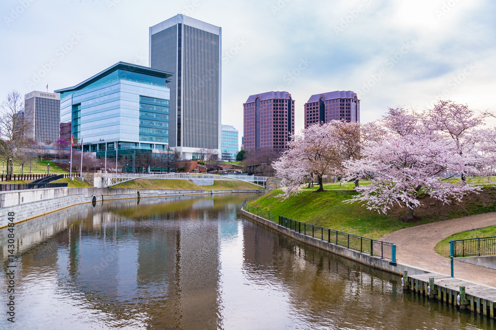 Richmond, Virgina skyline with cherry blossoms