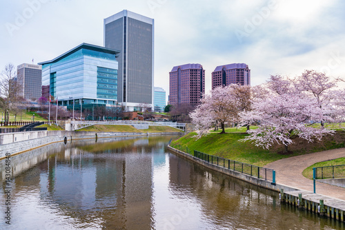 Fotografia Richmond, Virgina skyline with cherry blossoms