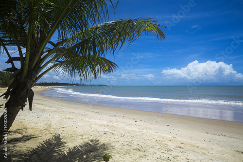 brazilian beach coast on a sunny day in Barra do Cahy, Bahia, Brazil. february, 2017. photo